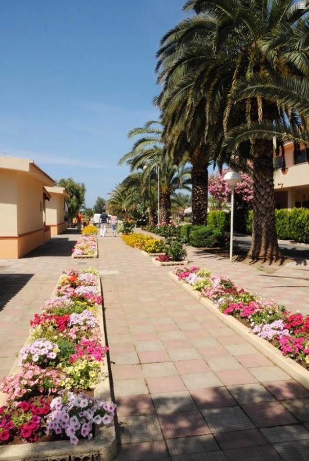 Hotel Summer Day Village Santa Maria Del Cedro Extérieur photo